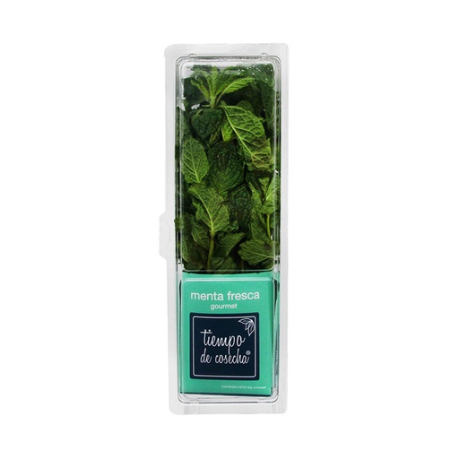 Menta - (pz) Solo disponible por temporada