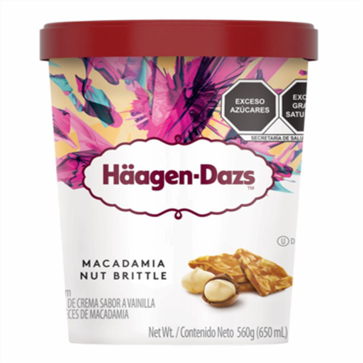 Haagen Dazs Macadamia Nut Ice Cream (16oz)